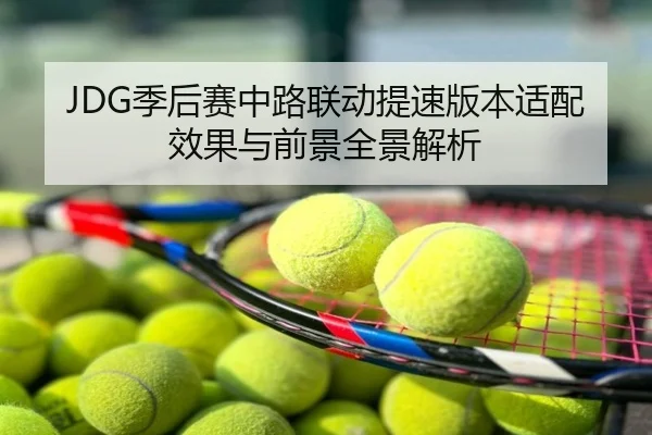 JDG季后赛中路联动提速版本适配效果与前景全景解析